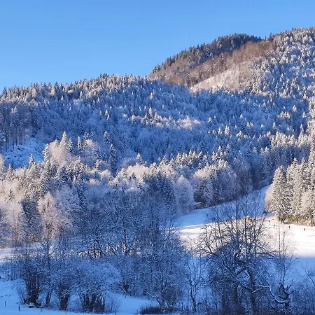 Rohnbogner * Point